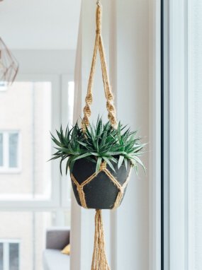 product-04 Hanging Plant